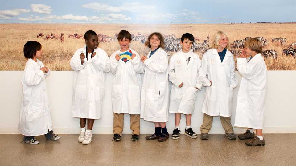 The Super Technology